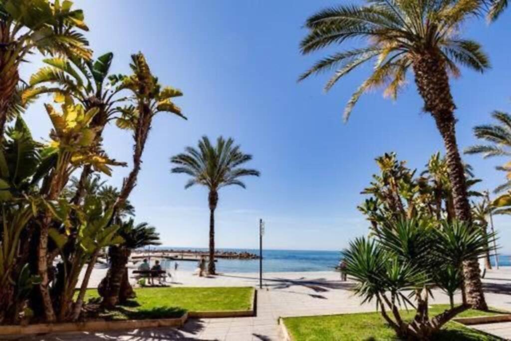 Apartmán Penthouse Ramon G-Playa Del Cura Torrevieja Exteriér fotografie